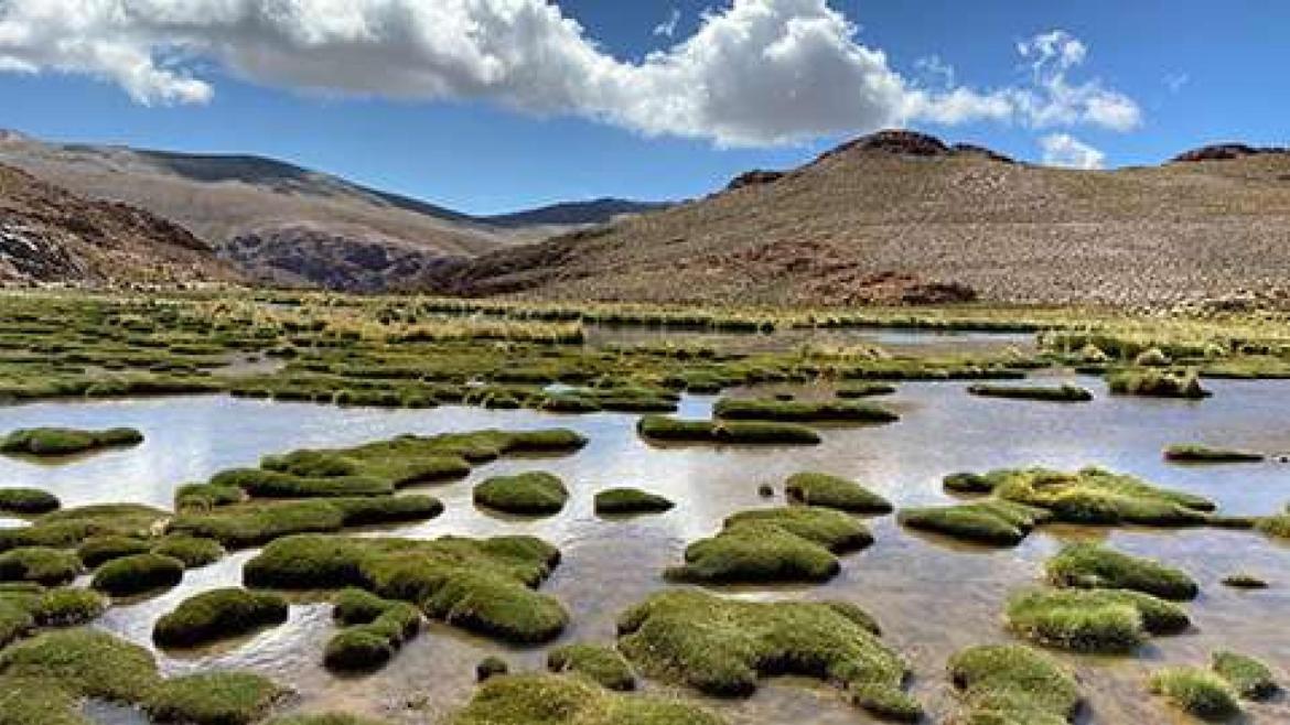 BMW en route vers un avenir durable.